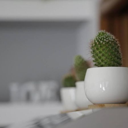 Iseo Lake Family&Friends Smart Home Exteriör bild